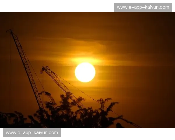 伤病太阳——在阴影里升起的温柔光芒